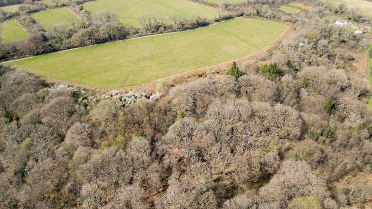 Aerial views of Colby Woodland Garden’s hidden wooded valley, Pembrokeshire